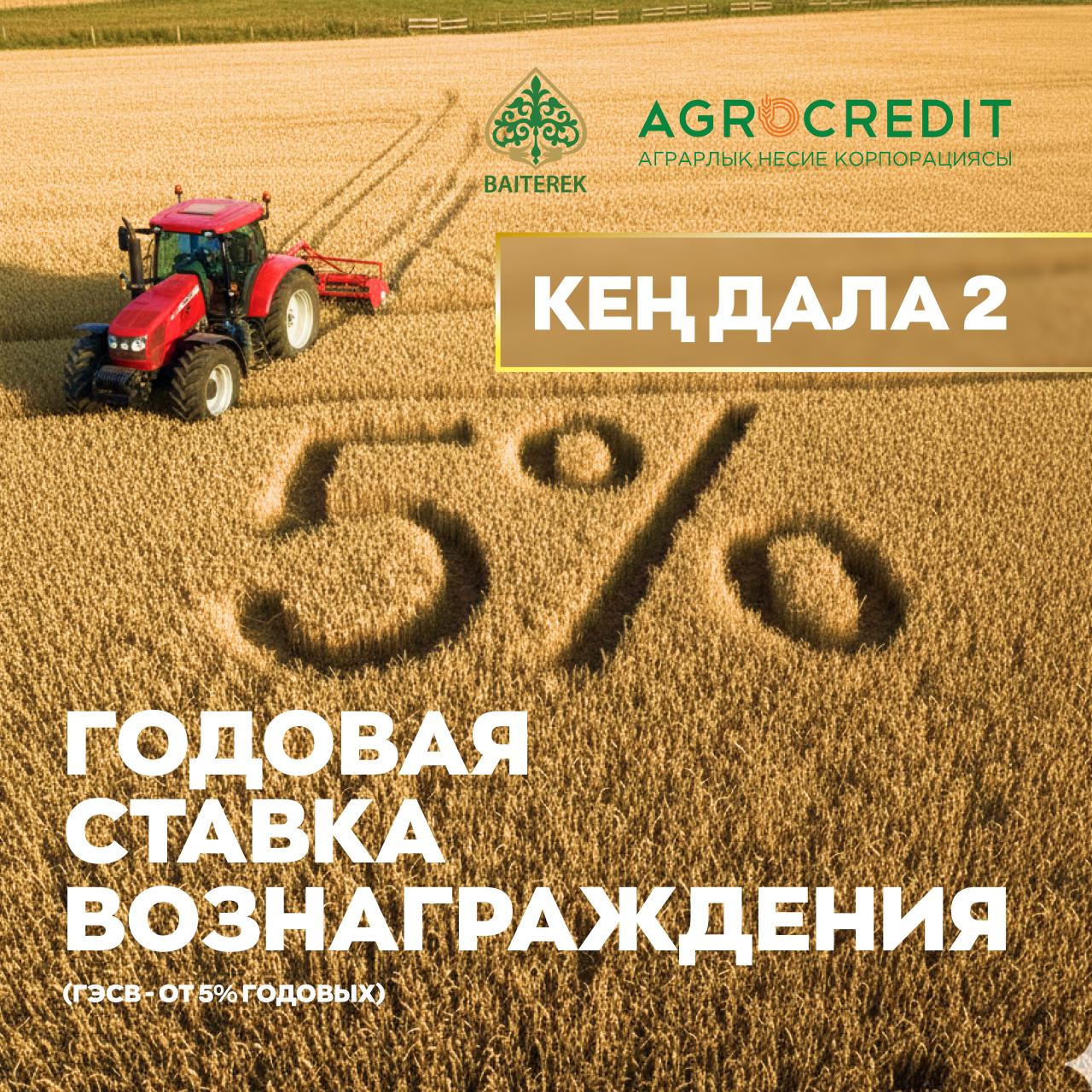 WhatsApp Image 2026 02 02 at 17.00.54